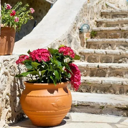 Gkountis Tsoukaládhes